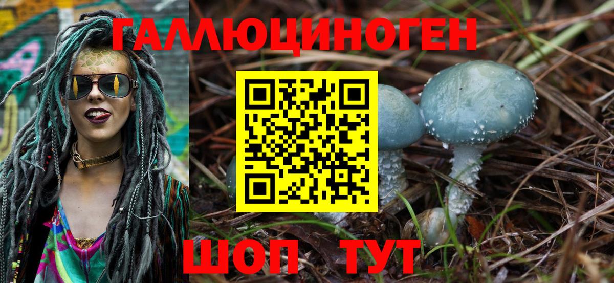 Галлюциногенные грибы GOLDEN TEACHER Сочи