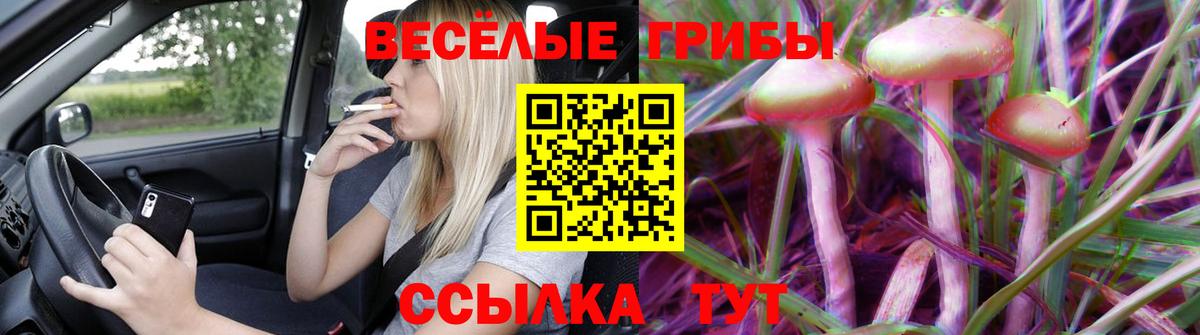 Сочи  Псилоцибиновые грибы ЛСД  Вход с VPN  Псилоцибиновые грибы Magic Shrooms 